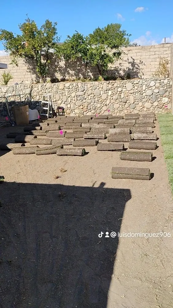 Expert yard cleanup service in Fontana, CA - Dominguez Landscaping