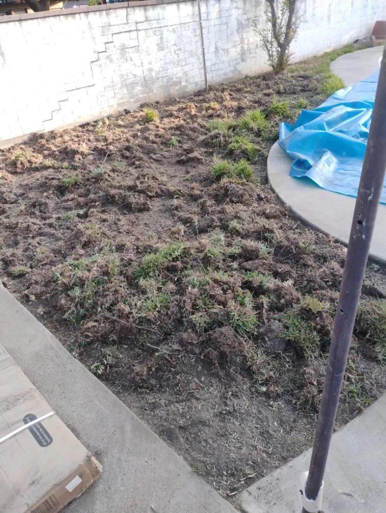 Affordable lawn mowing service in Fontana, CA by Dominguez Landscaping