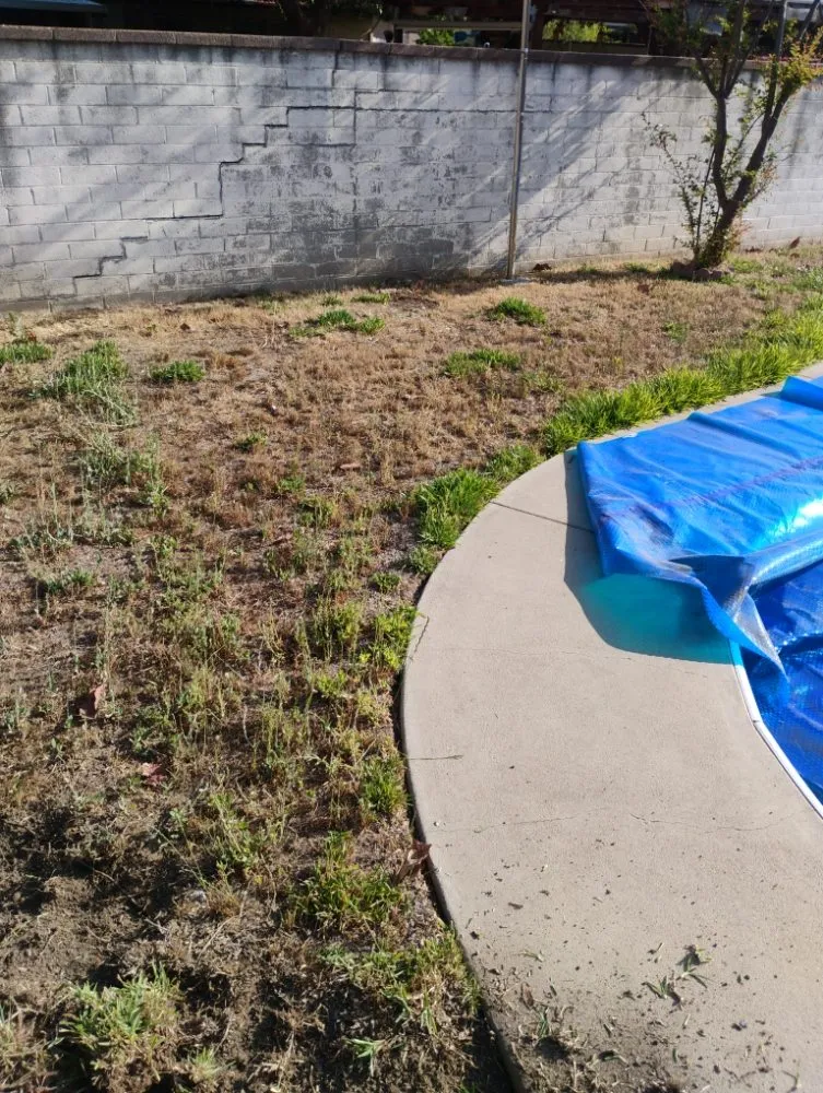 Trusted lawn mowing service in Fontana, CA by Dominguez Landscaping