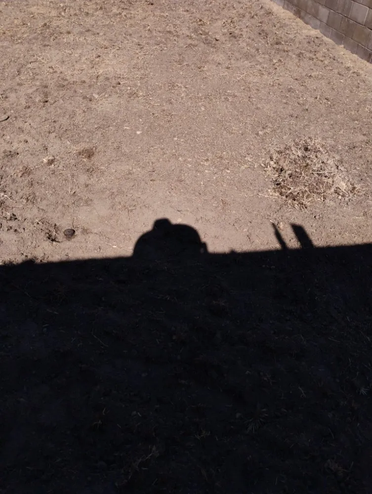 Professional garden landscaping with custom design in Fontana, CA by Dominguez Landscaping