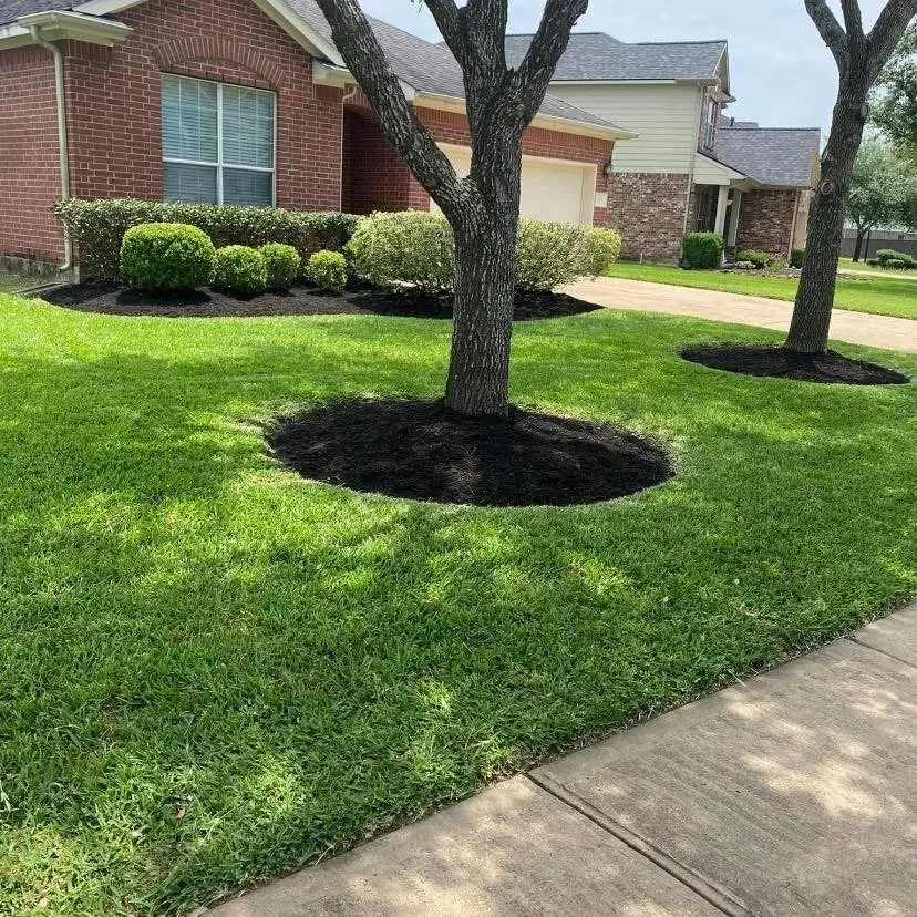 Reliable yard maintenance in Houston, TX by Dominguez Landscaping