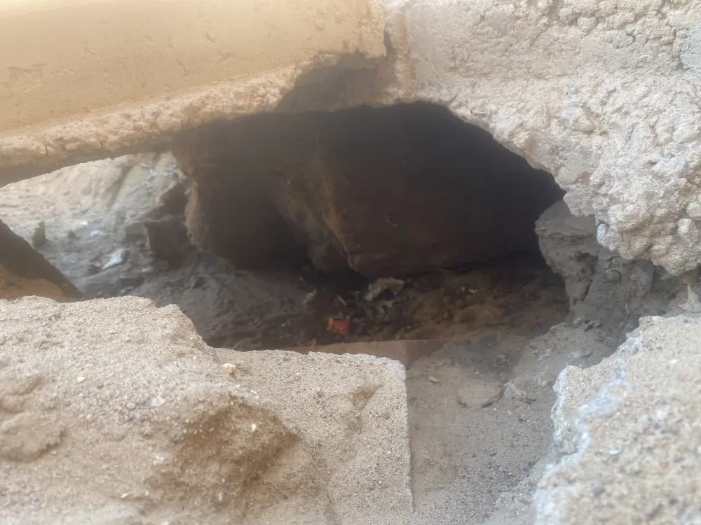 Reliable lawn care service for beautiful yards in Rio Rancho, NM by Dominguez Landscaping