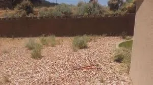 Reliable yard maintenance experts serving Rio Rancho, NM - Dominguez Landscaping