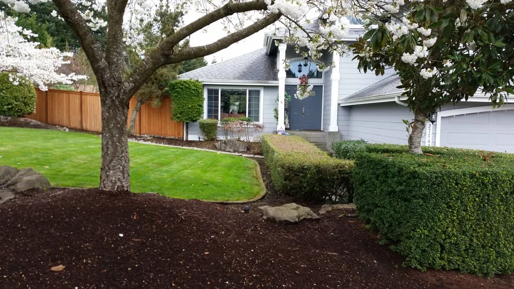 Affordable landscaping services near you in Tacoma, WA by Dominguez Landscaping Service