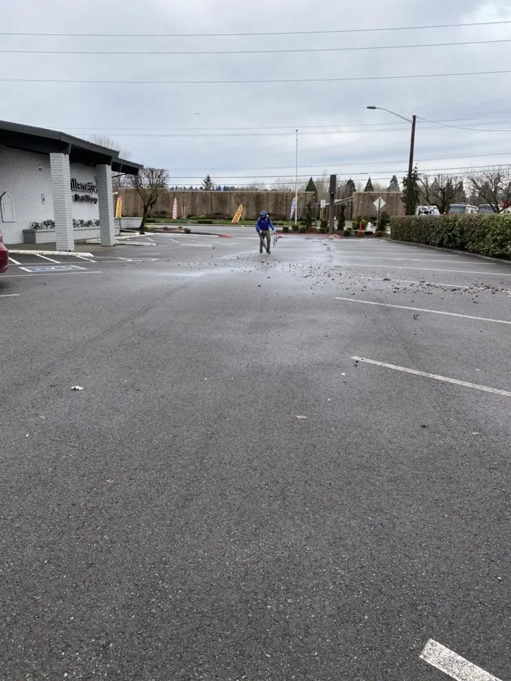 Custom landscape design for beautiful yards in Tacoma, WA by Dominguez Landscaping Service