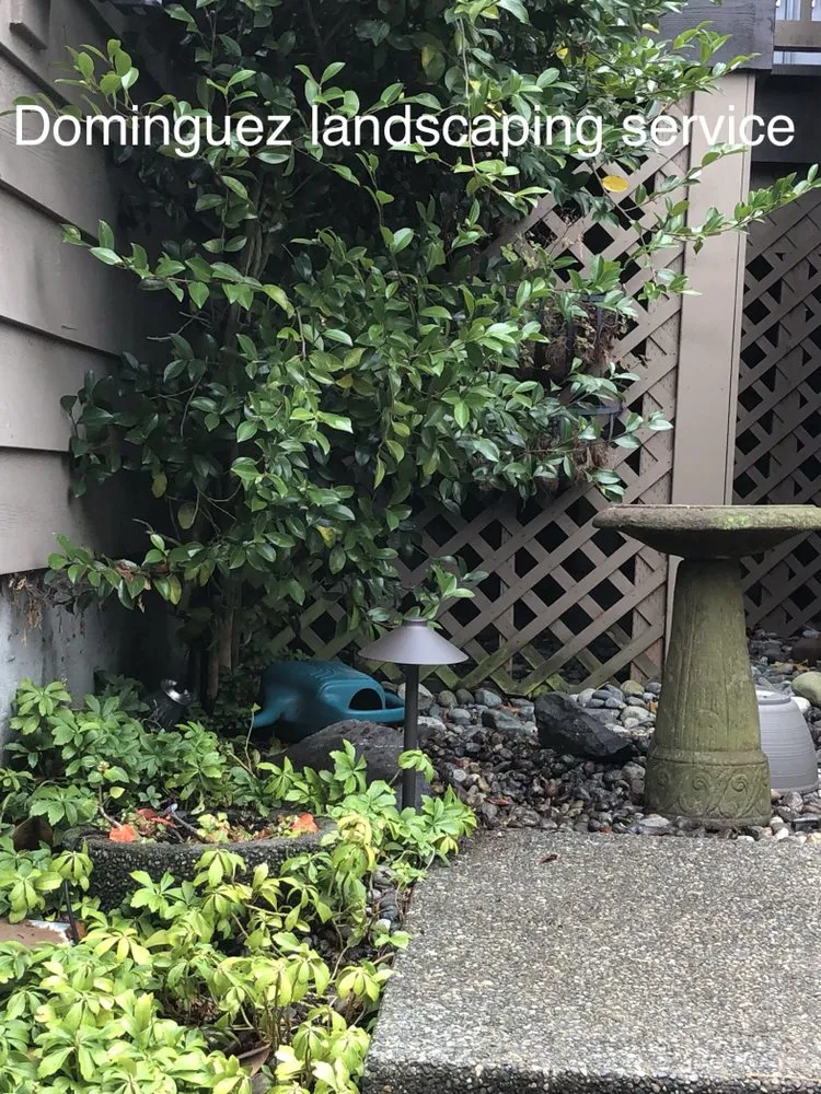 Affordable residential landscaping near you across Tacoma, WA - Dominguez Landscaping Service