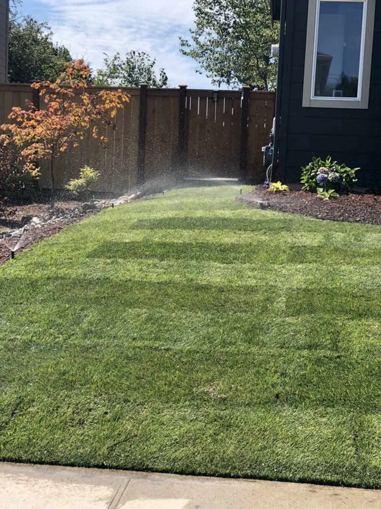 Professional yard cleanup service in Tacoma, WA by Dominguez Landscaping Service