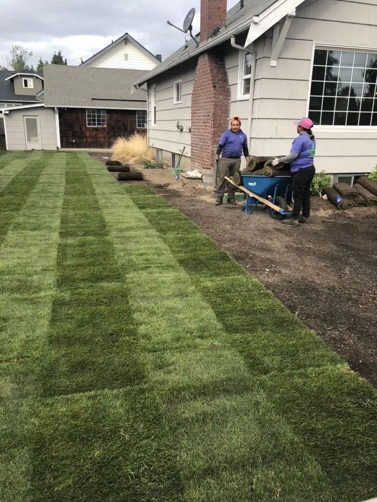 Expert yard cleanup service in Tacoma, WA by Dominguez Landscaping Service
