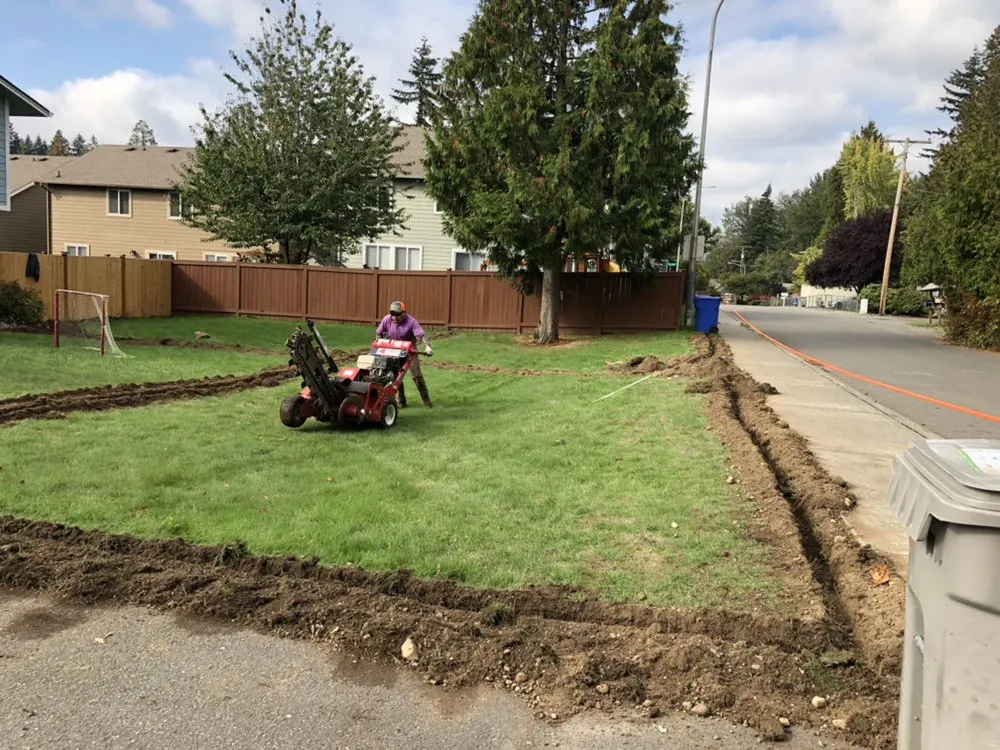 Reliable lawn care service near you in Tacoma, WA by Dominguez Landscaping Service