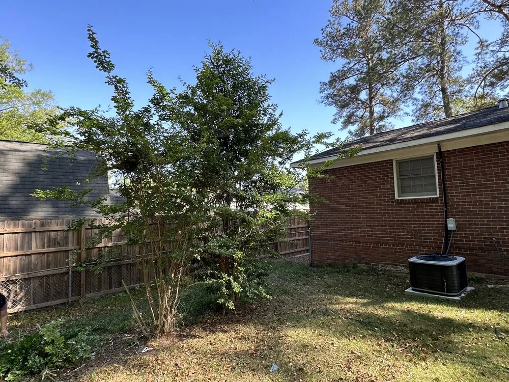 Expert lawn mowing service in Columbus, GA by Dominguez Lawn & Landscape