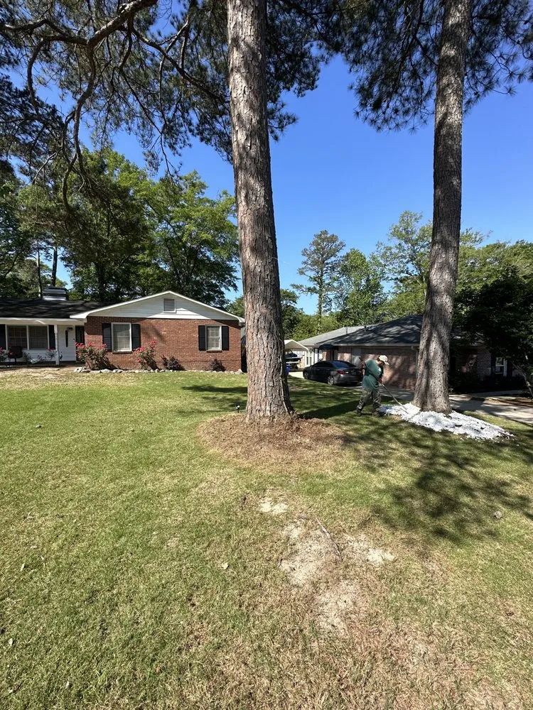 Affordable landscaping services for residential properties across Columbus, GA - Dominguez Lawn & Landscape