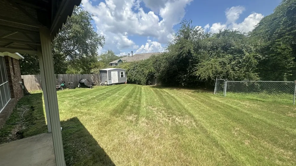 Professional yard cleanup service in Columbus, GA - Dominguez Lawn & Landscape