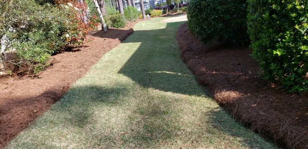 Trusted yard cleanup service experts serving Calabash, NC - Dominguez Lawn Care