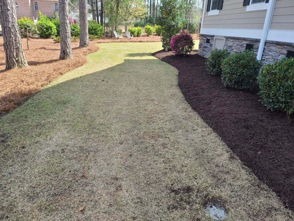 Local residential landscaping experts serving Calabash, NC - Dominguez Lawn Care