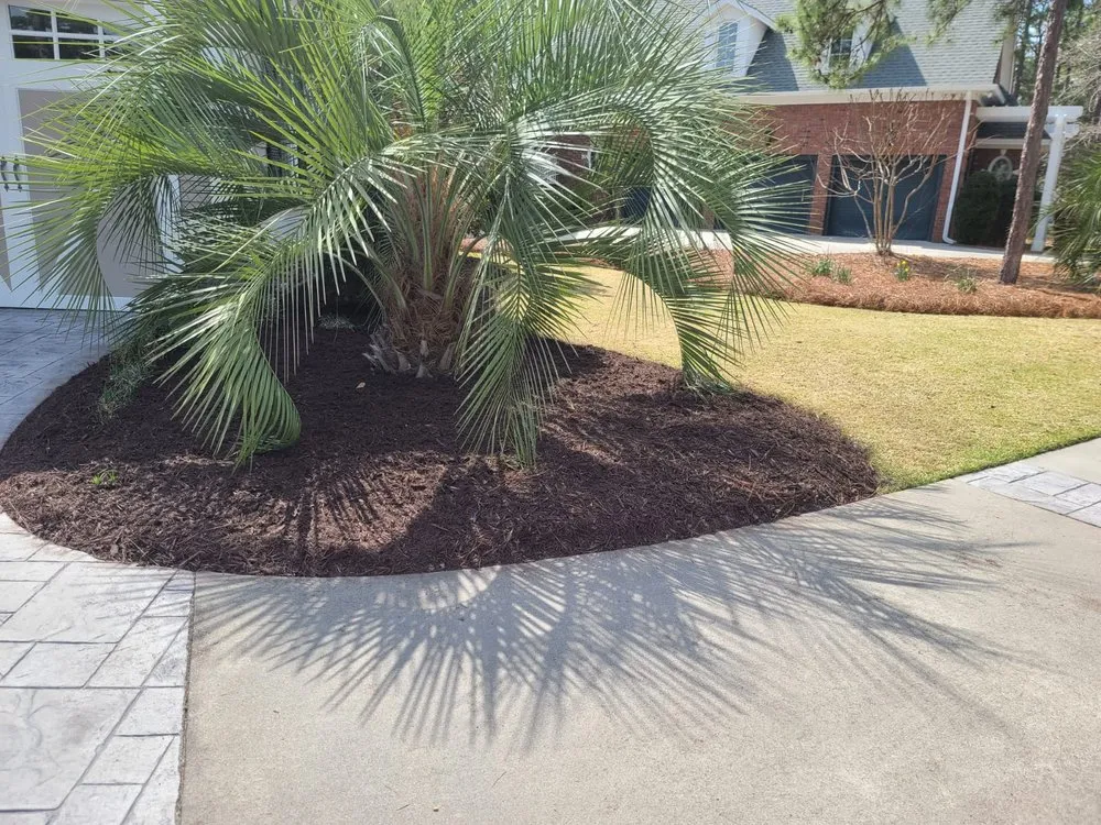 Top-rated yard cleanup service experts serving Calabash, NC - Dominguez Lawn Care