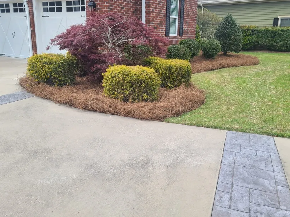 Trusted yard cleanup service experts serving Calabash, NC - Dominguez Lawn Care