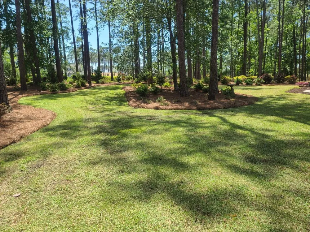 Custom yard cleanup service in Calabash, NC by Dominguez Lawn Care
