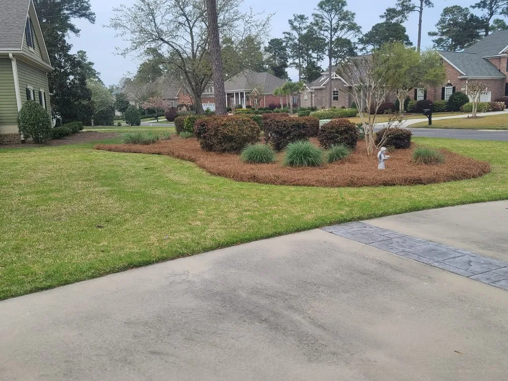 Expert yard cleanup service in Calabash, NC by Dominguez Lawn Care