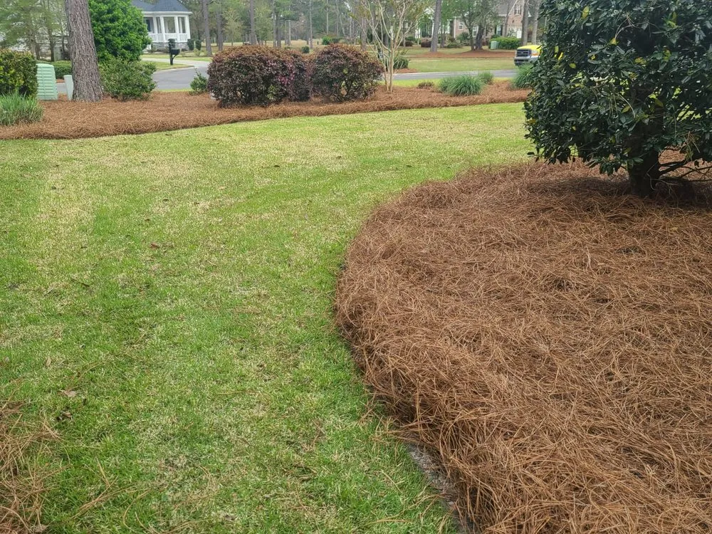 Affordable garden landscaping for outdoor upgrades in Calabash, NC by Dominguez Lawn Care