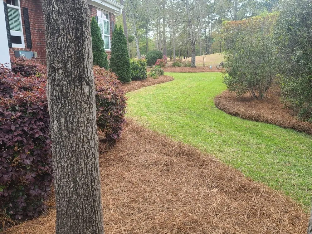 Expert yard cleanup service for homes in Calabash, NC by Dominguez Lawn Care