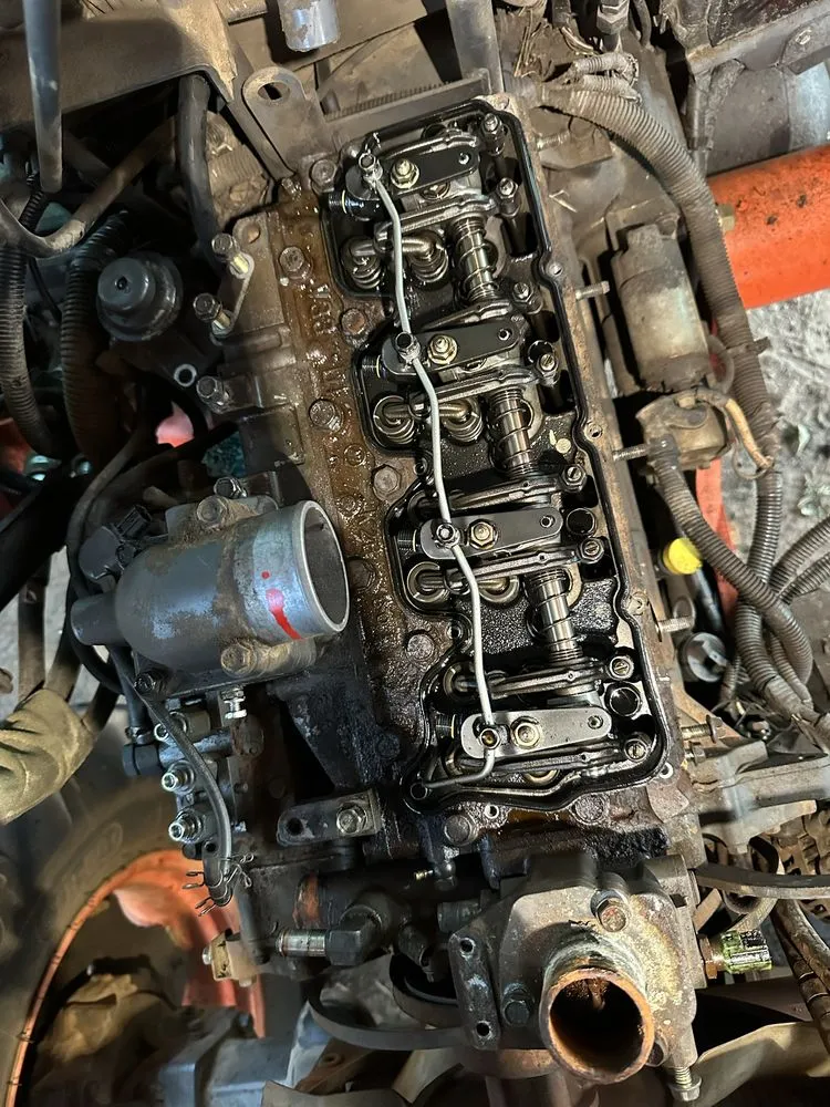 Professional outdoor landscaping for year-round maintenance across Longview, TX - Dominguez Services