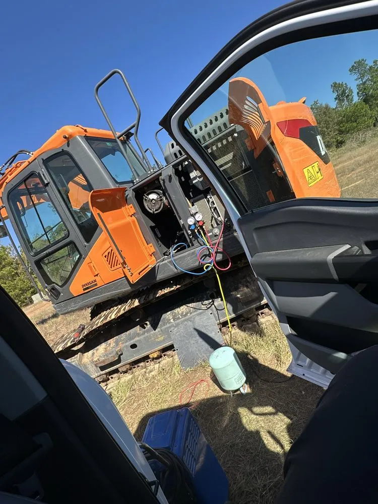 Custom yard cleanup service for year-round maintenance in Longview, TX by Dominguez Services