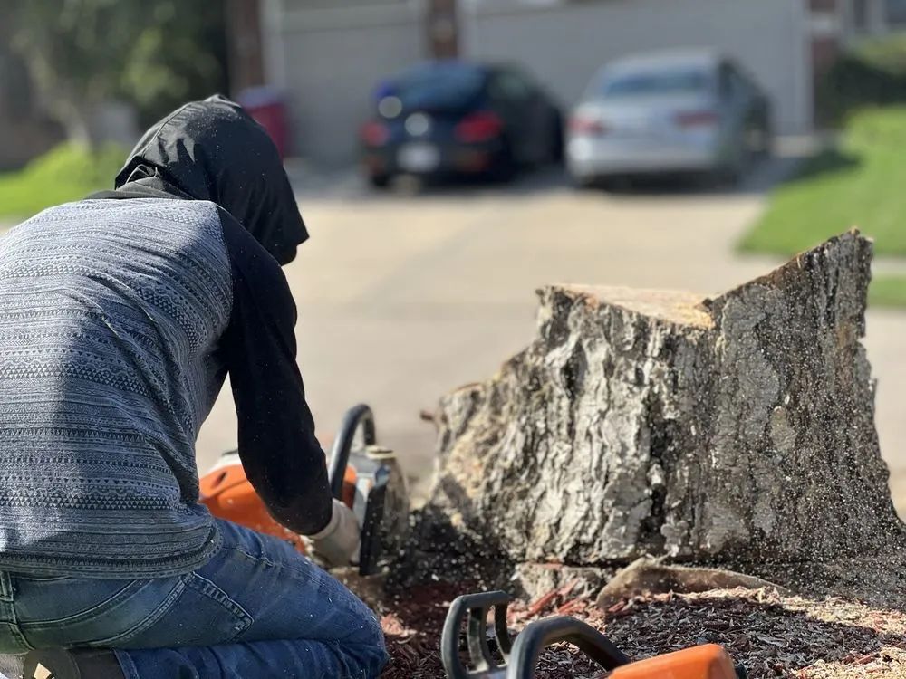 Affordable yard maintenance for outdoor upgrades in Omaha, NE by Dominic Landscaping & Tree Service