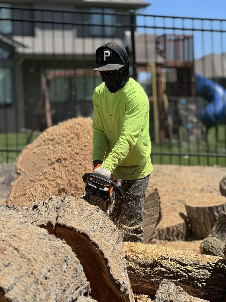 Affordable outdoor landscaping for outdoor upgrades in Omaha, NE by Dominic Landscaping & Tree Service