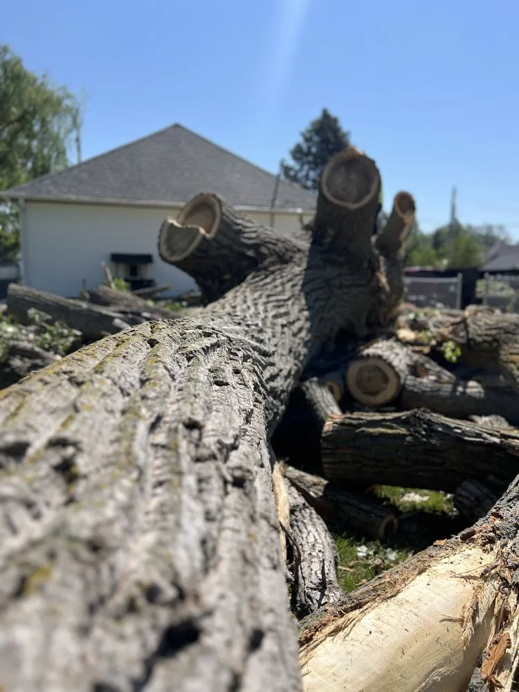 Custom landscape design for outdoor upgrades in Omaha, NE by Dominic Landscaping & Tree Service