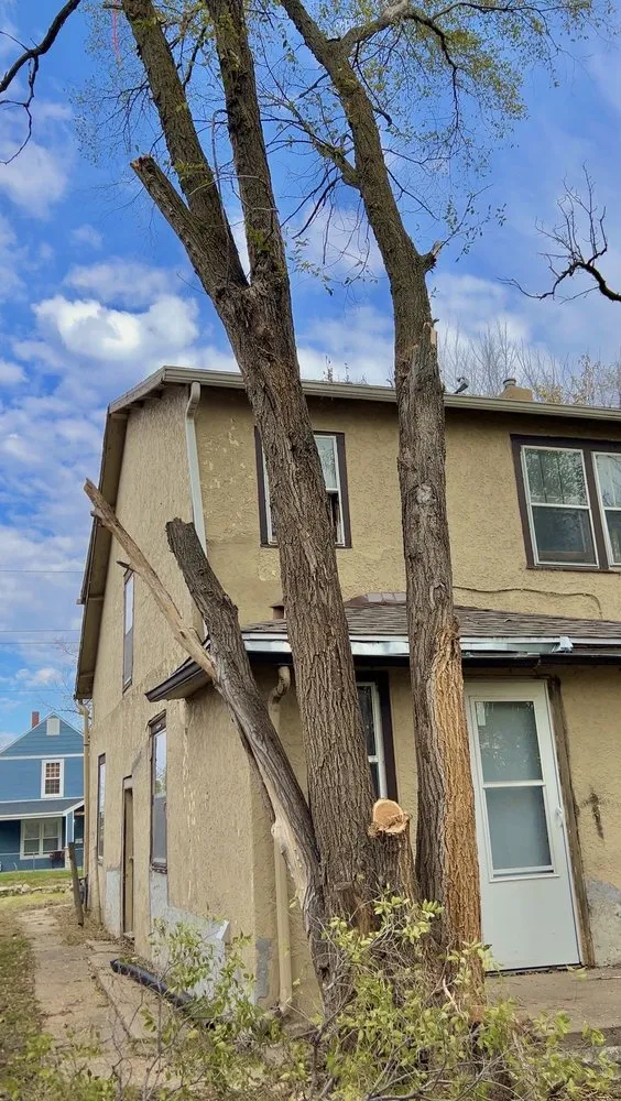 Professional landscape design in Omaha, NE - Dominic Landscaping & Tree Service