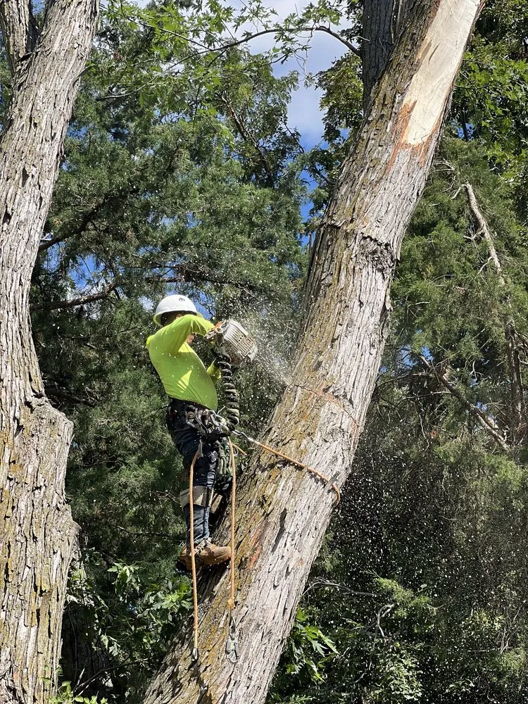 Top-rated lawn care service with custom design in Omaha, NE by Dominic Landscaping & Tree Service