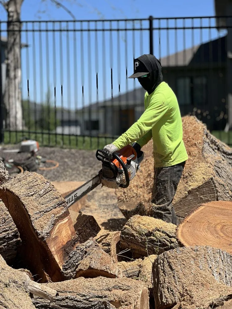 Top-rated lawn mowing service for outdoor upgrades in Omaha, NE by Dominic Landscaping & Tree Service