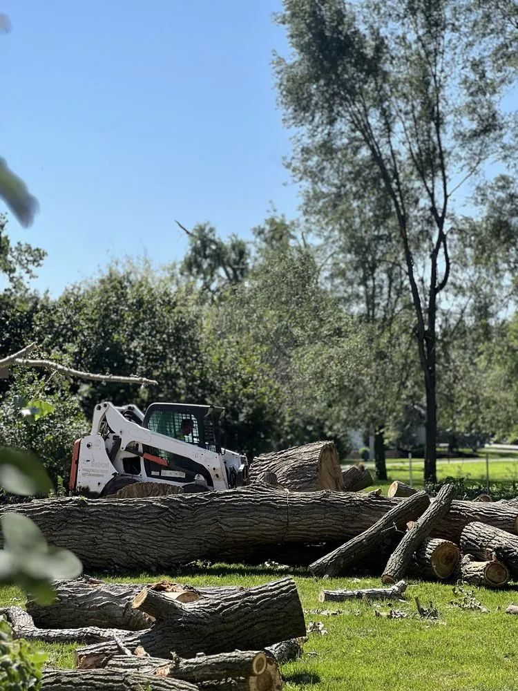 Local yard maintenance experts serving Omaha, NE - Dominic Landscaping & Tree Service