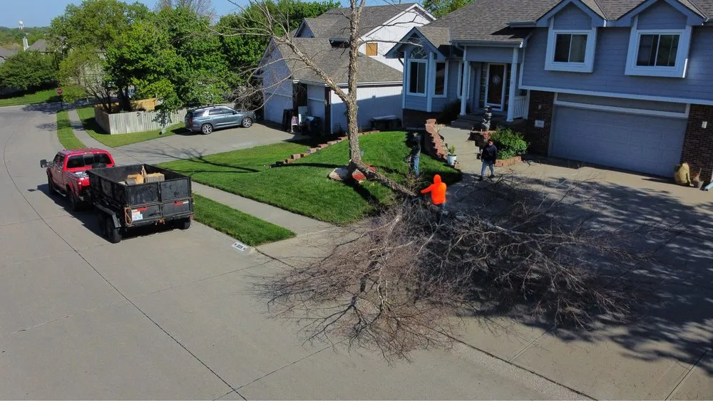 Expert yard cleanup service experts serving Omaha, NE - Dominic Landscaping & Tree Service