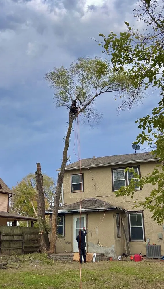 Trusted landscape design near you across Omaha, NE - Dominic Landscaping & Tree Service