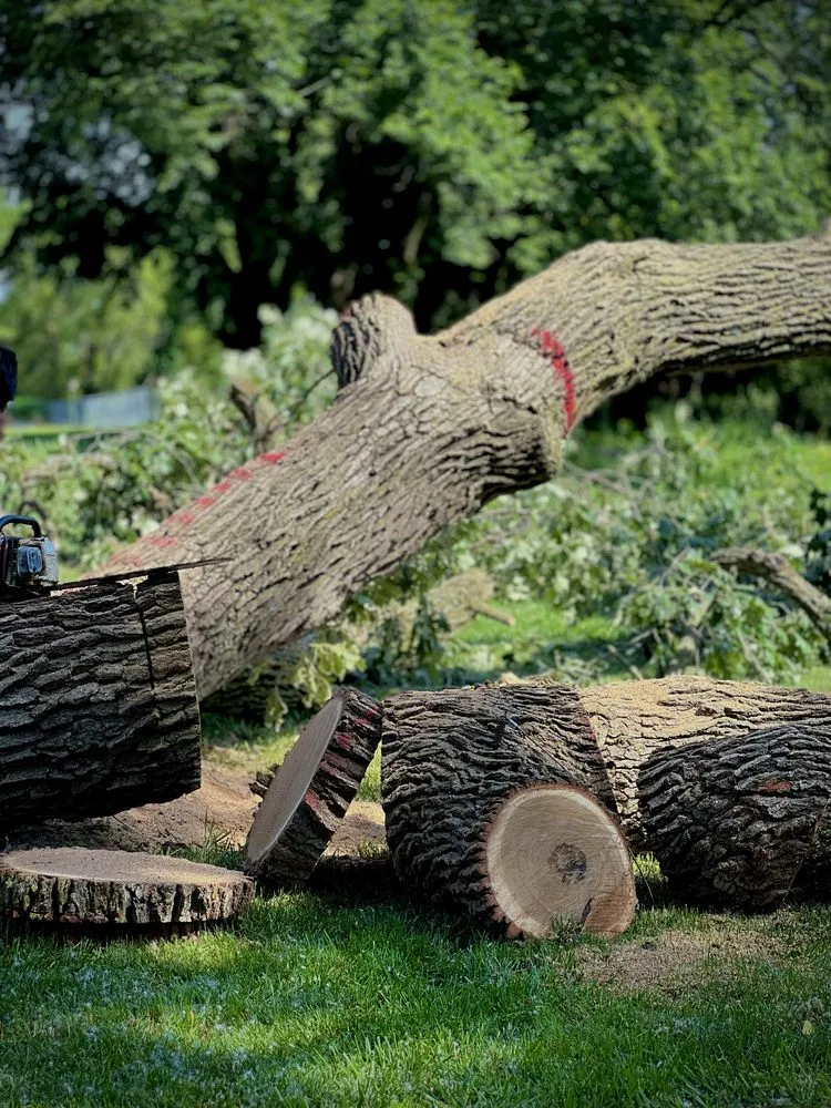 Professional garden landscaping in Omaha, NE - Dominic Landscaping & Tree Service