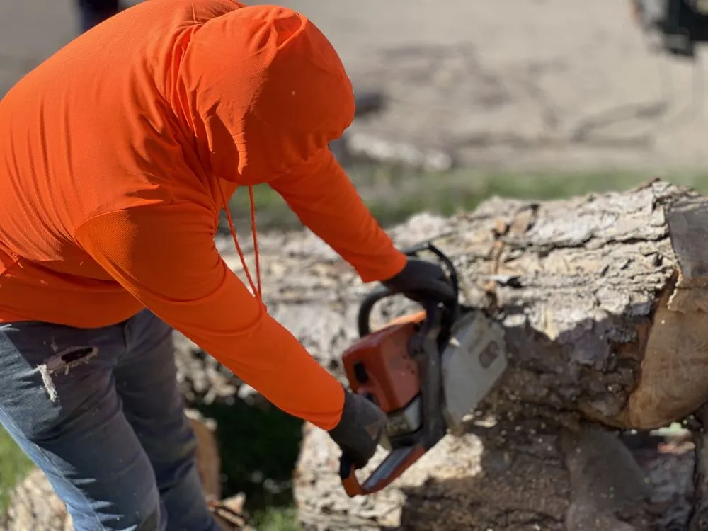 Expert landscaping services in Omaha, NE - Dominic Landscaping & Tree Service