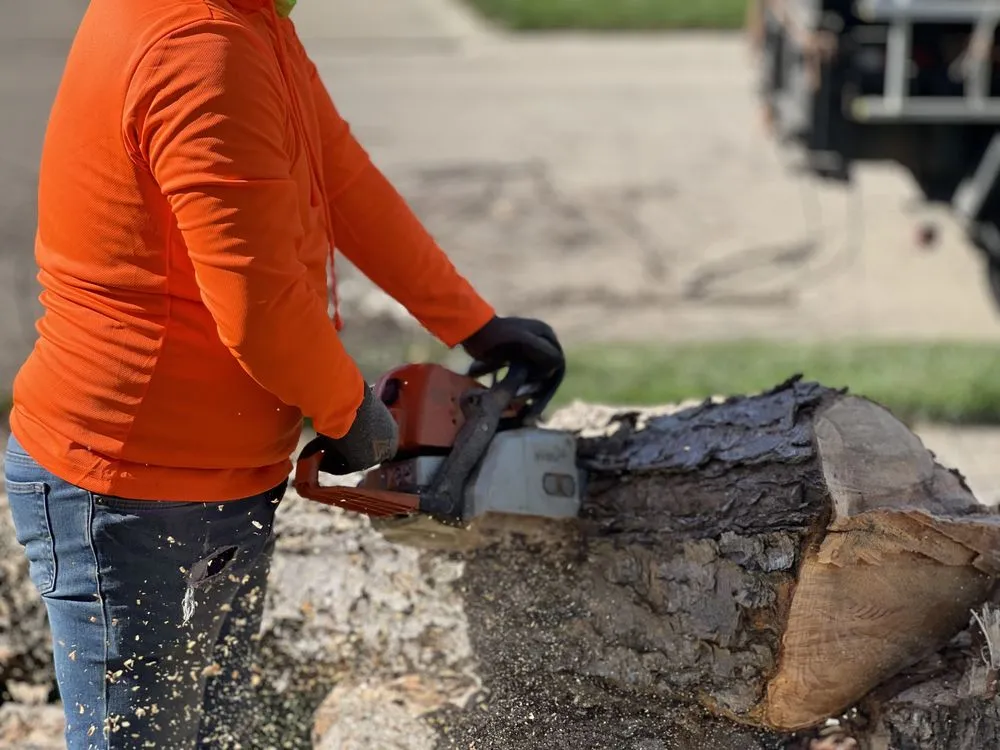 Custom yard cleanup service for residential properties in Omaha, NE by Dominic Landscaping & Tree Service