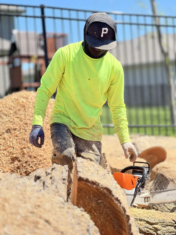 Local landscape design for outdoor upgrades in Omaha, NE by Dominic Landscaping & Tree Service