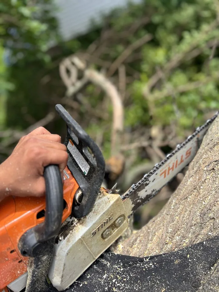 Local garden landscaping in Omaha, NE - Dominic Landscaping & Tree Service