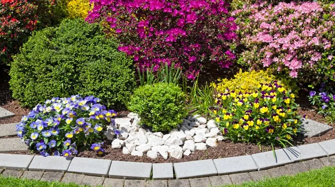 Professional lawn care service for year-round maintenance across Burlington, MA - Dominic Landscaping & Trucking