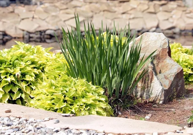 Reliable residential landscaping for outdoor upgrades in Glen Burnie, MD by Dominick Landscaping