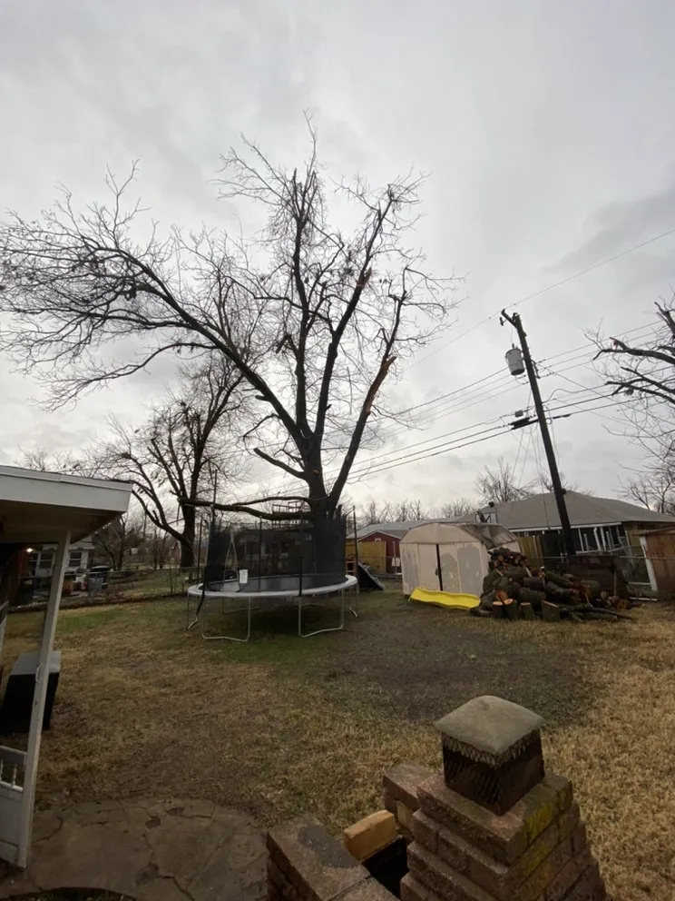 Top-rated landscape design experts serving Del City, OK - Dominicks Landscapes