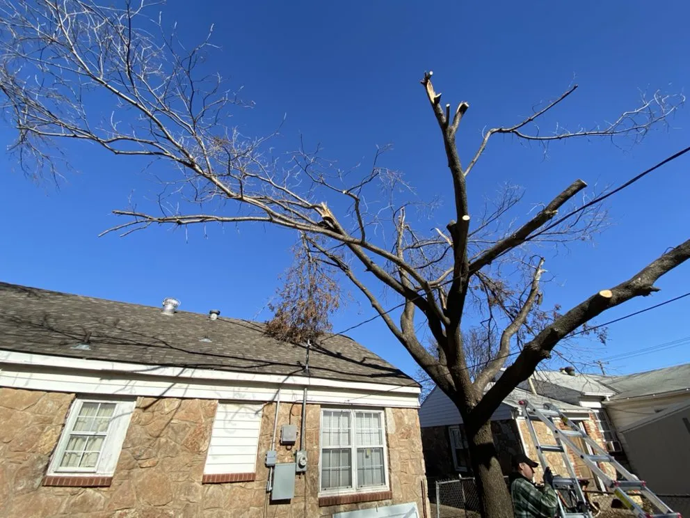 Expert outdoor landscaping in Del City, OK by Dominicks Landscapes