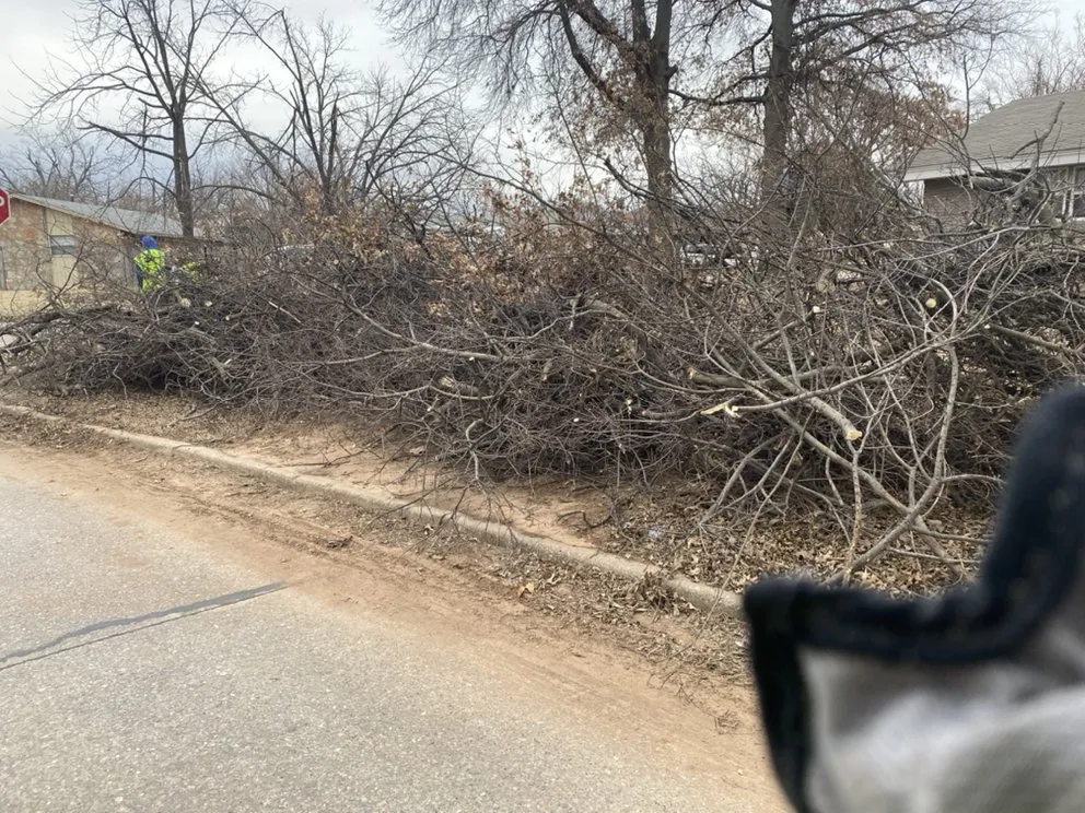 Professional landscape design experts serving Del City, OK - Dominicks Landscapes