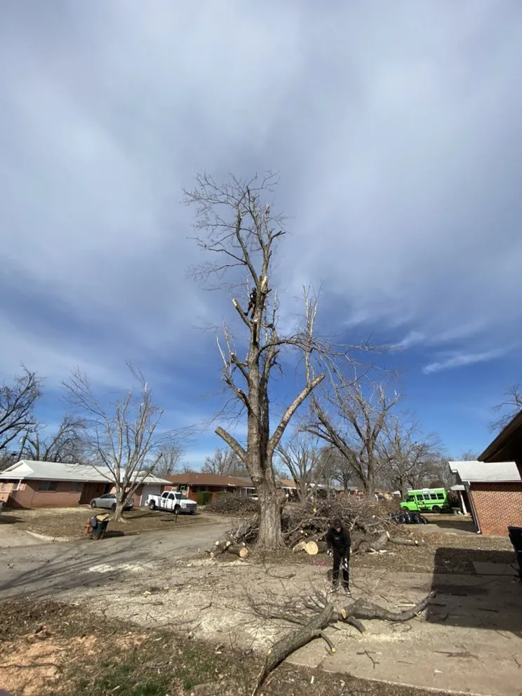 Affordable yard maintenance for residential properties in Del City, OK by Dominicks Landscapes