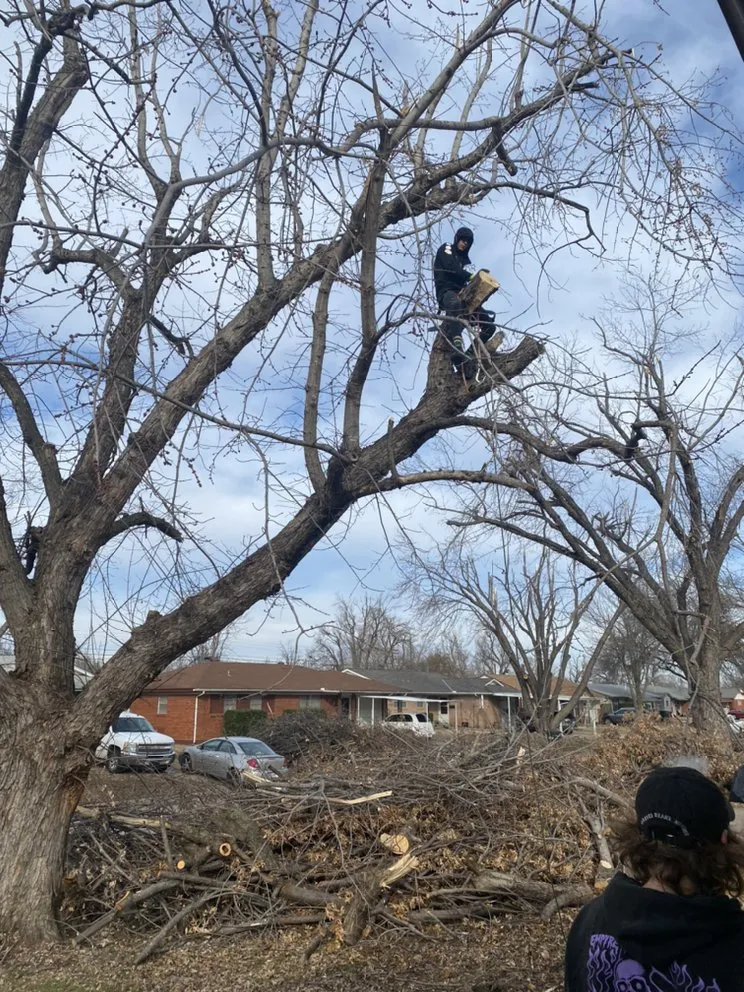 Expert landscape design in Del City, OK by Dominicks Landscapes