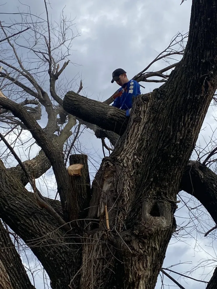 Affordable lawn mowing service for homes in Del City, OK by Dominicks Landscapes