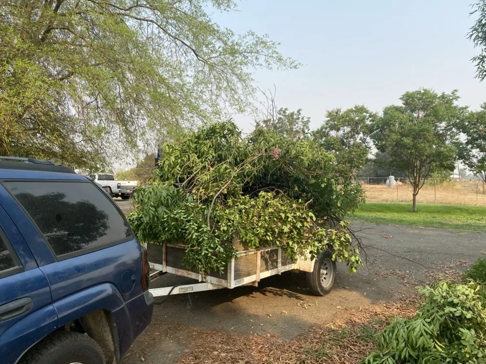 Reliable landscaping services in Del City, OK by Dominicks Landscapes