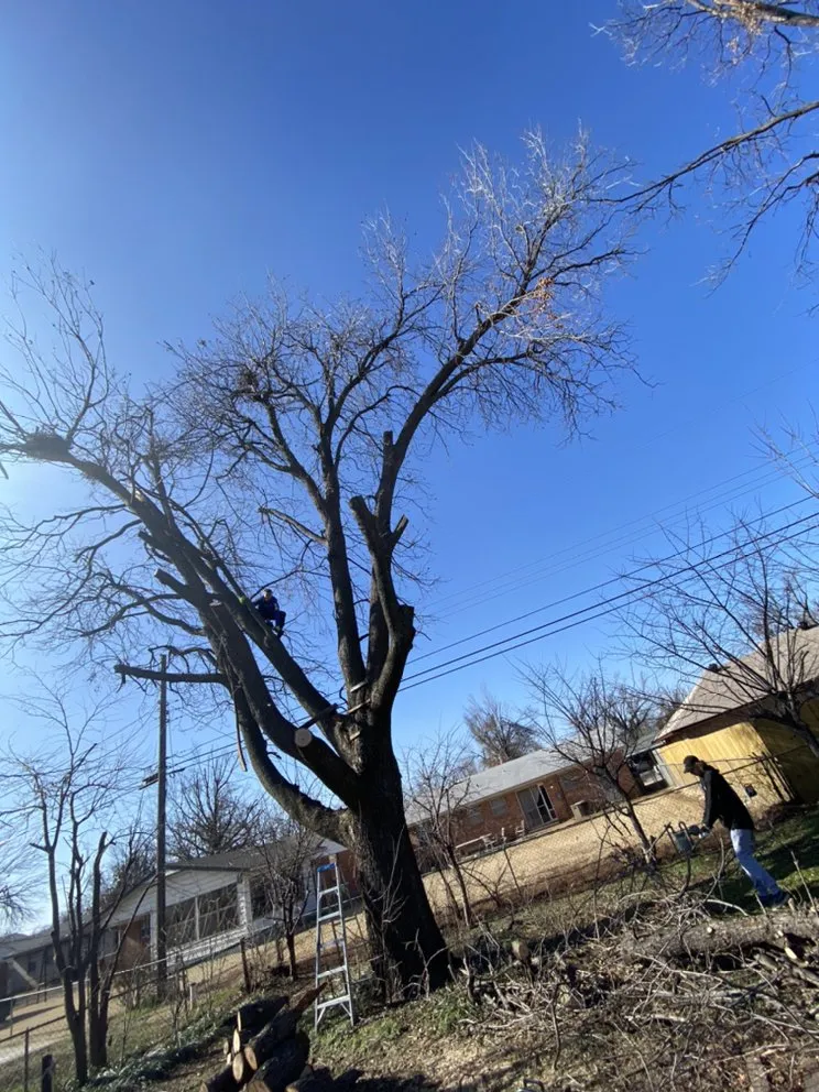 Top-rated outdoor landscaping experts serving Del City, OK - Dominicks Landscapes